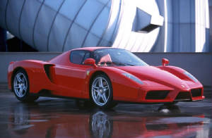 enzo.jpg